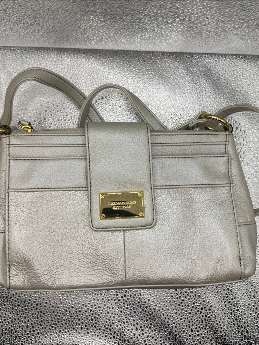 Tignanello Metallic Silver Pebbled Leather Crossbody Organizer Bag